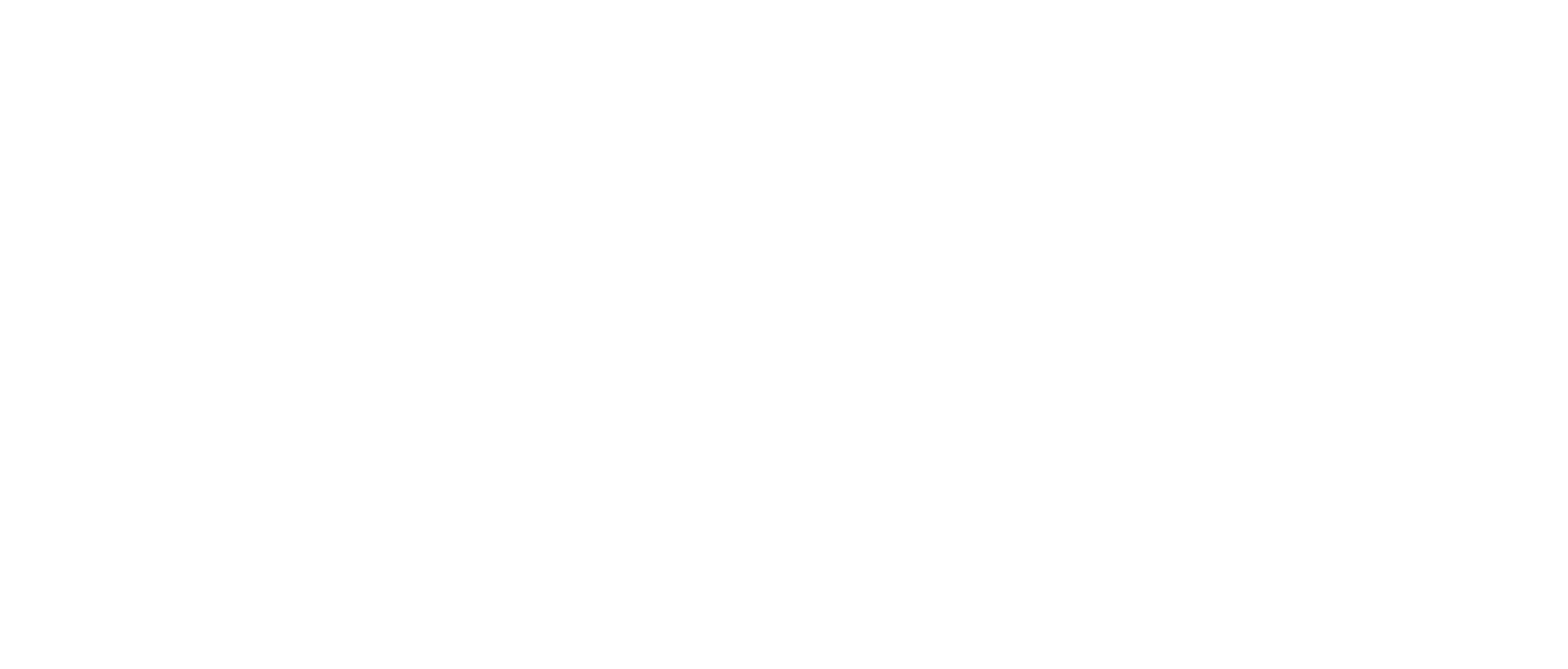 Bernice Willis White Logo CB